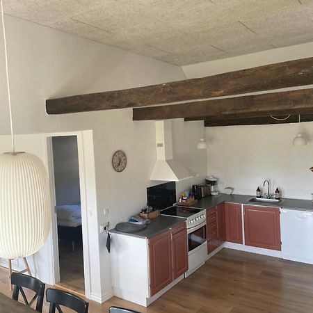 Baekgaarden 3 Rooms Apartment - Old Farm House Odense Buitenkant foto