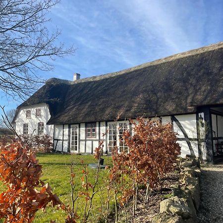 Baekgaarden 3 Rooms Apartment - Old Farm House Odense Buitenkant foto
