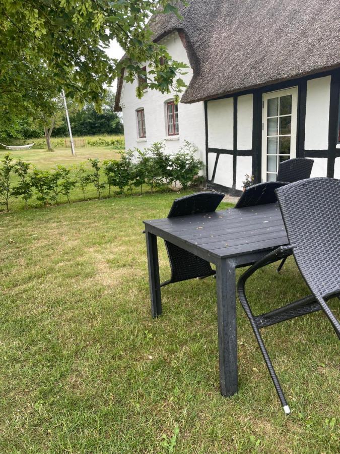Baekgaarden 3 Rooms Apartment - Old Farm House Odense Buitenkant foto