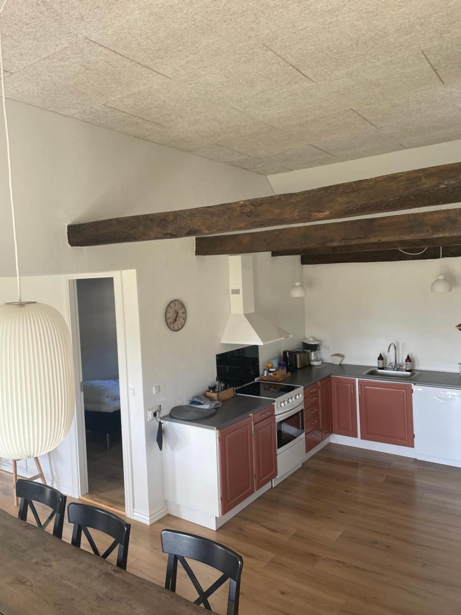 Baekgaarden 3 Rooms Apartment - Old Farm House Odense Buitenkant foto